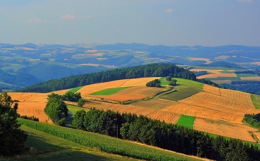 Pământul care ne hrăneşte - solul (Pixabay.com)
