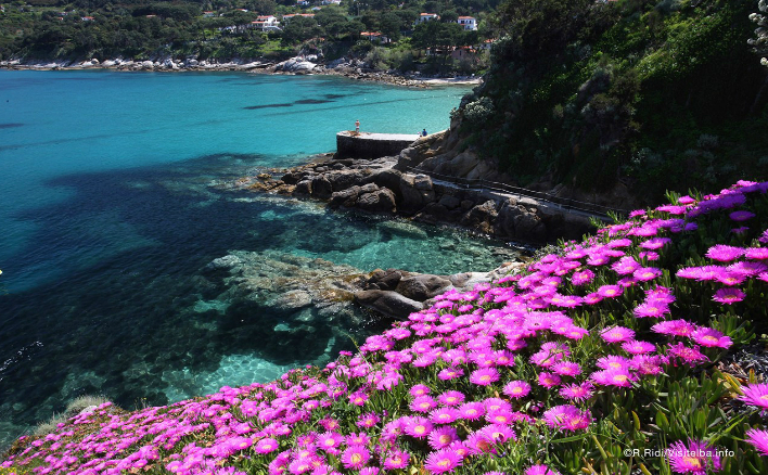 Insula Elba: Sant Andrea