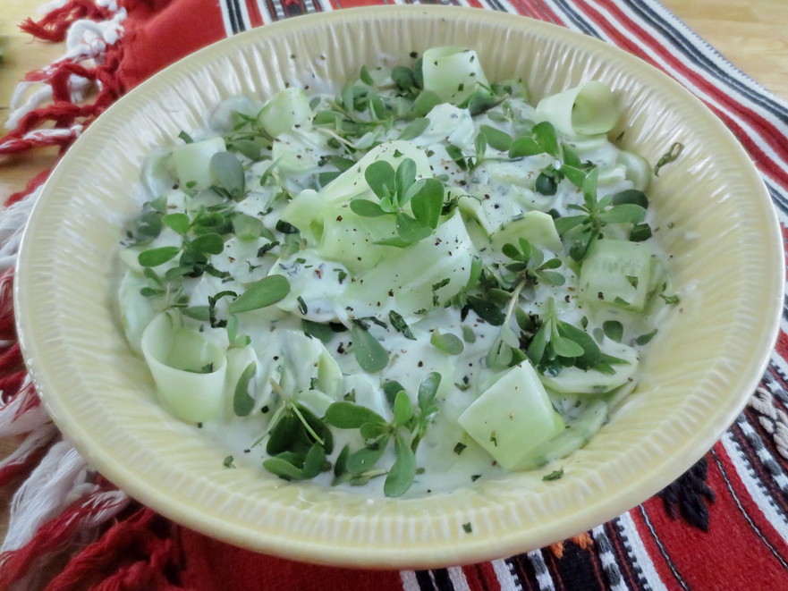 Salată de castraveţi  cu iarbă grasă şi iaurt
