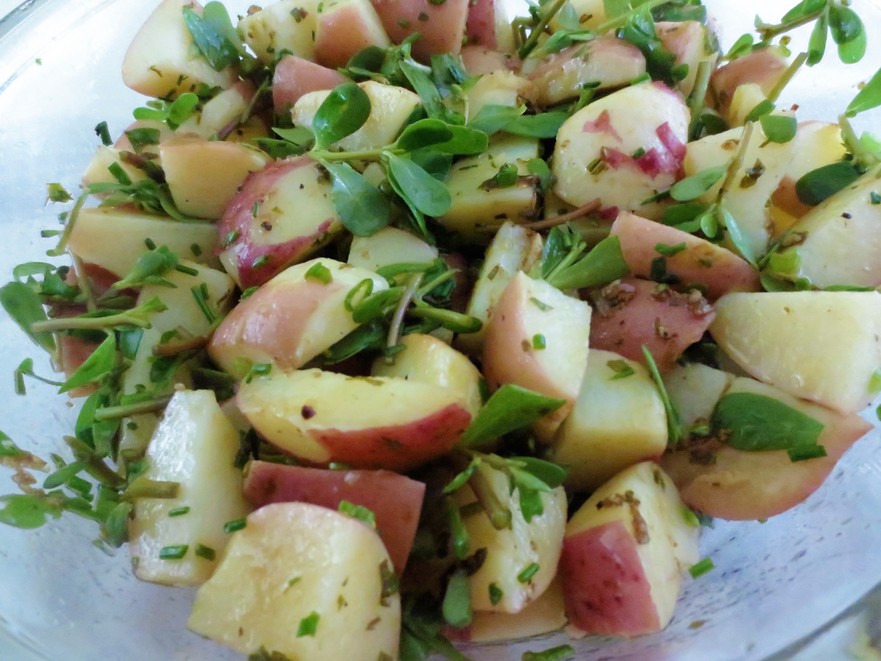 Salată de cartofi  noi cu iarbă grasă