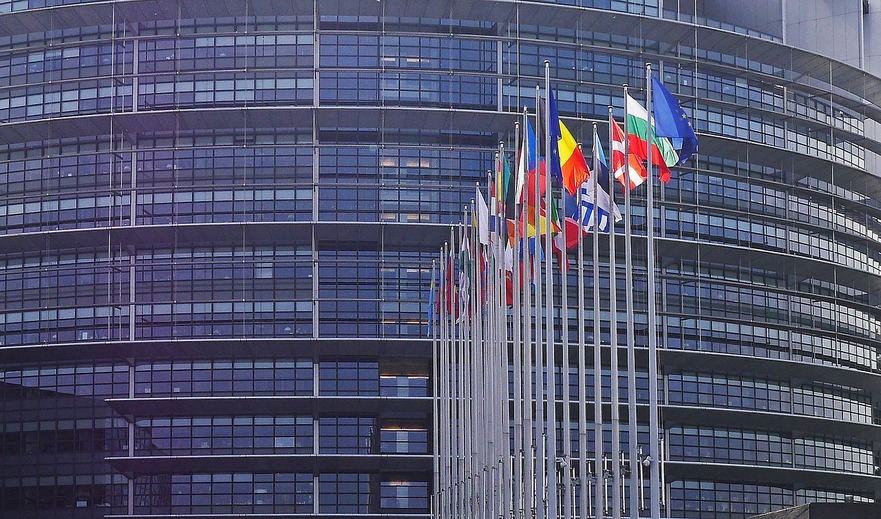 Parlamentul European de la Strasbourg (.)