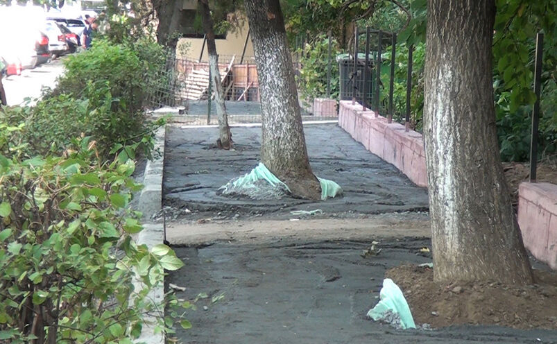 Copaci betonaţi în sectorul 3 din Capitală (Epoch Times)