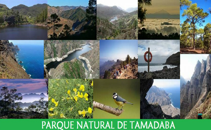 Parcul Natural Tamadaba din insula Gran Canaria, Spania (naturaspain.com)