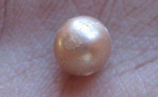 O perlă de 2000 de ani descoperită în statul Kimberly din vestul Australiei