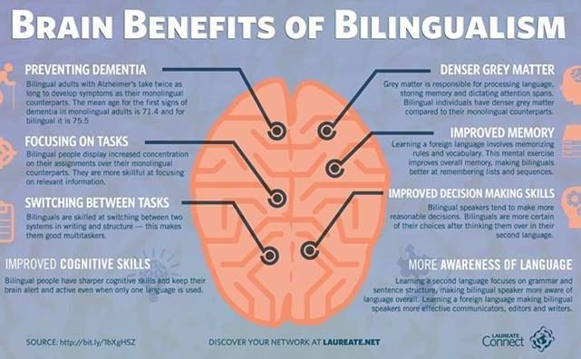 Avantajele creierului multilingvist (washburnschoolpr.com)