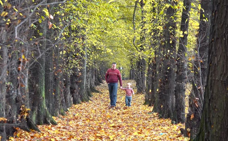 Copil şi părinte mergând pe jos, într-o plimbare prin parc, toamna. (facebook)
