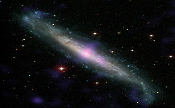 Galaxia NGC 1448 (CARNEGIE-IRVINE GALAXY SURVEY/NASA)
