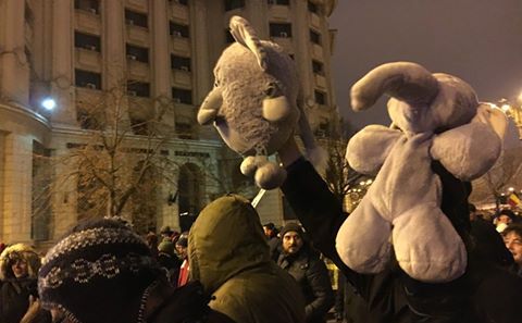 Proteste împotriva "ordonanţelor-elefant" (Emilia Şercan/Facebook)