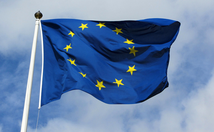 Steagul Uniunii Europene. (Captură Foto)