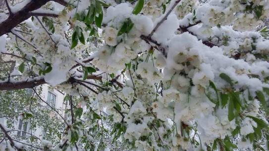 Lichidarea consecinţelor ninsorii abundente în Moldova (The Epoch Times Romania)