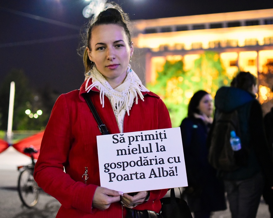 Protest (Alexandru Socol - bSk)