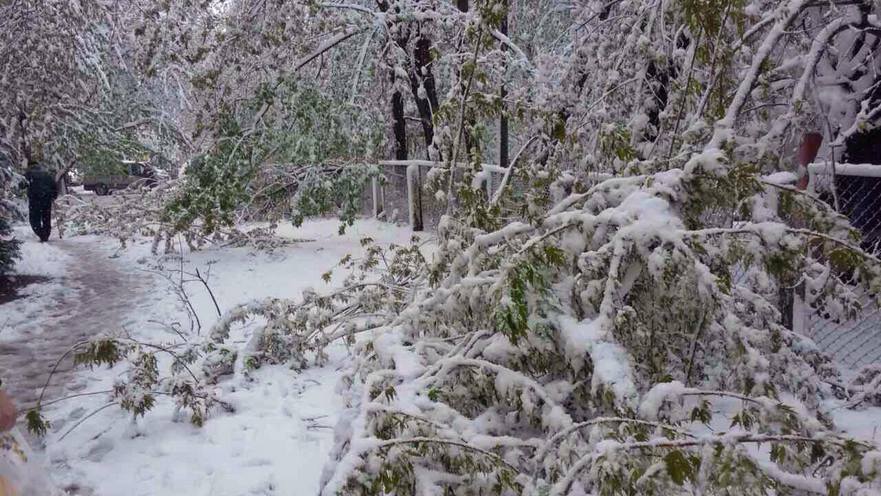 Lichidarea consecinţelor ninsorii abundente în Moldova
