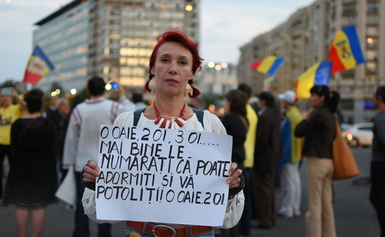 Protest (Alexandru Socol - bSk)