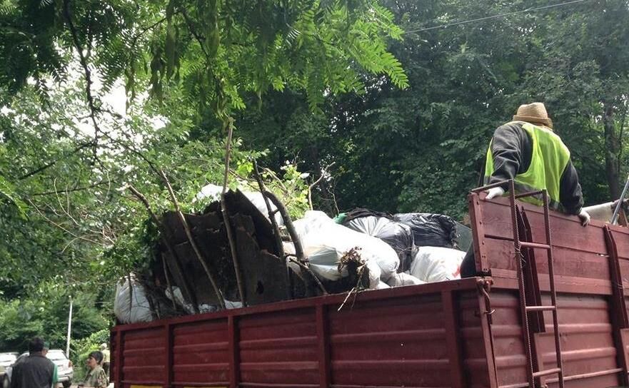 Curăţenie în Parcul Floreasca (Floreasca Civică)