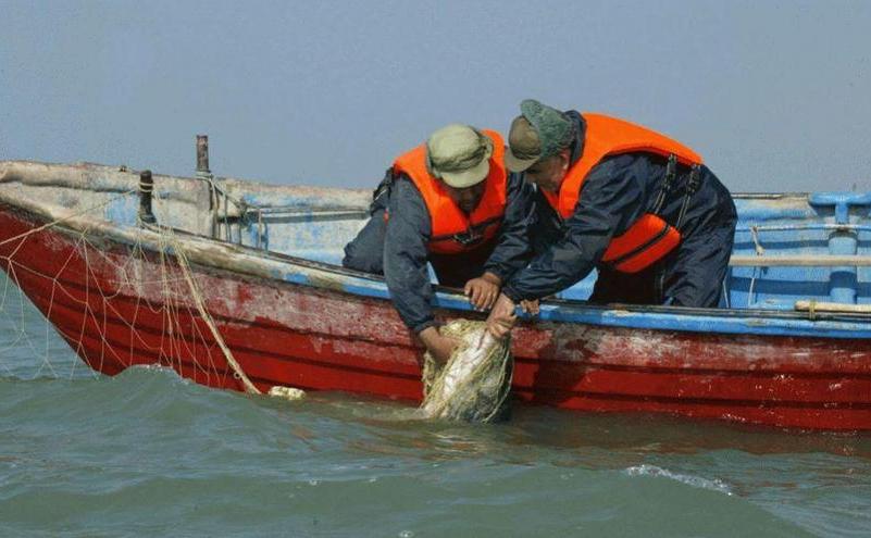 Pescari iranieni în Marea Caspică. Paza de coastă saudită a împuşcat fatal un pescar iranian în Golful Persic în 16 iunie 2017.