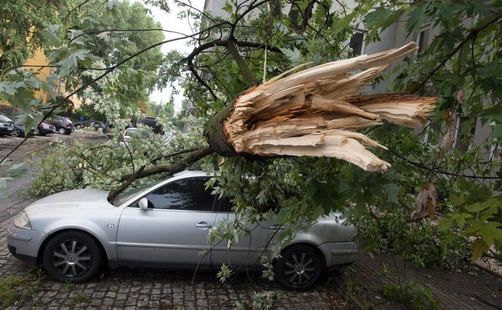Polonia lovită de furtuni masive care au cauzat căderi de copaci şi victime (Getty Images)