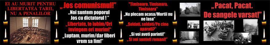 Banner (Cristina Bota)