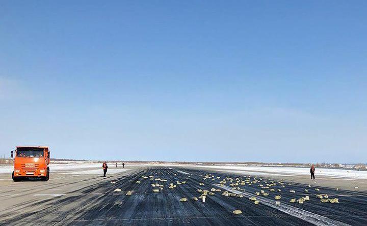 Lingouri de aur căzute dintr-un avion în Yakutsk