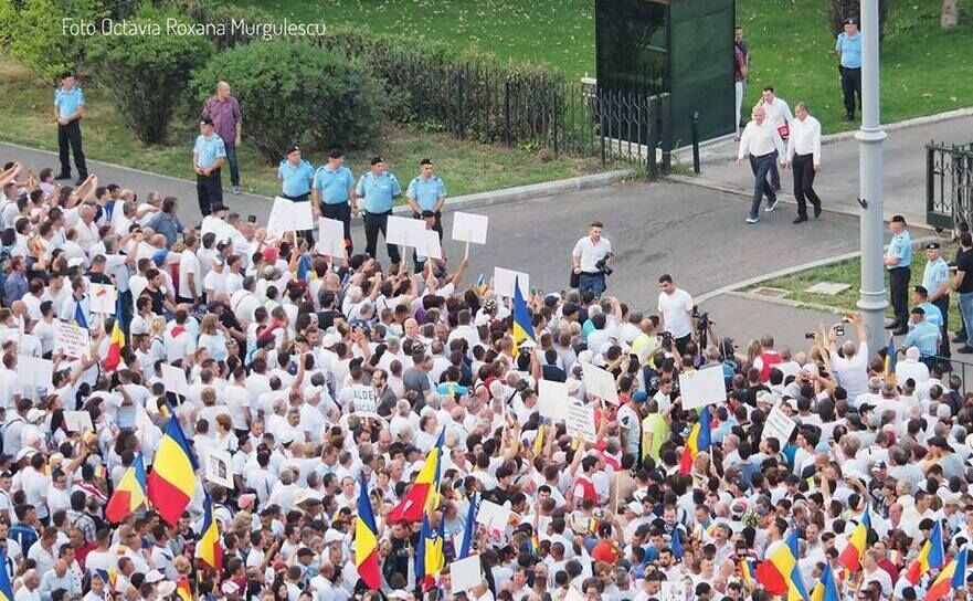 foto (Octavia Roxana Murgulescu)