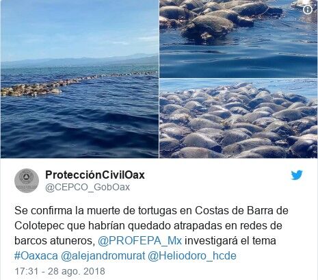  (Twitter Oficina de Protección Civil de Oaxaca)