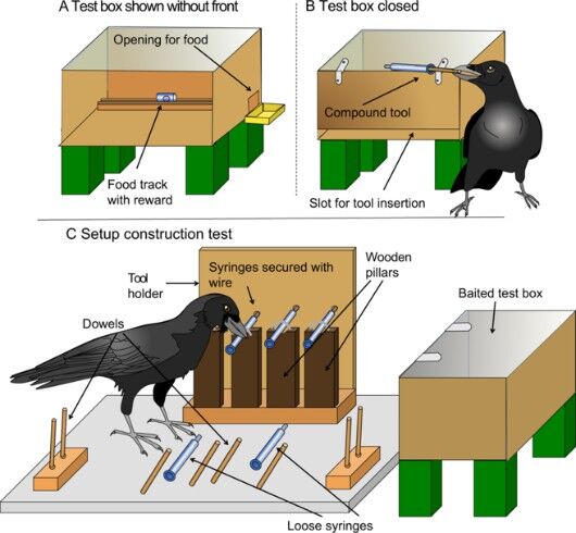  (Max Planck Institute for Ornithology)