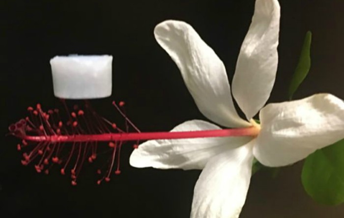 Noul aerogel ceramic este atât de uşor încât se poate odihni pe o floare fără să o rupă.