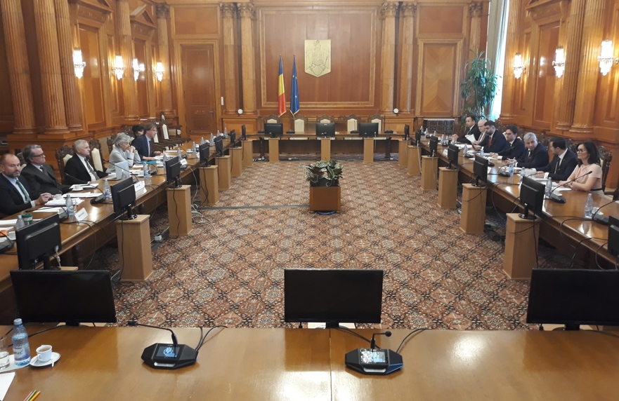 Comisia de la Venetia in Parlamentul Romaniei