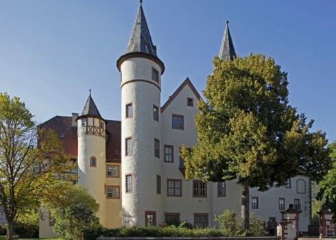 Castelul din Lohr am Main, Baviera (Getty Images)