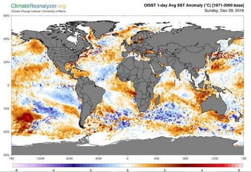 Harta mondială cu temperaturile apei în oceane la 29 decembrie 2019 (Climate Reanalyzer)