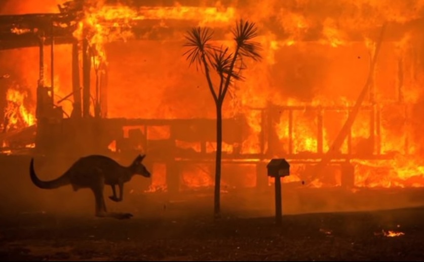 Australia parjolita de incendii.