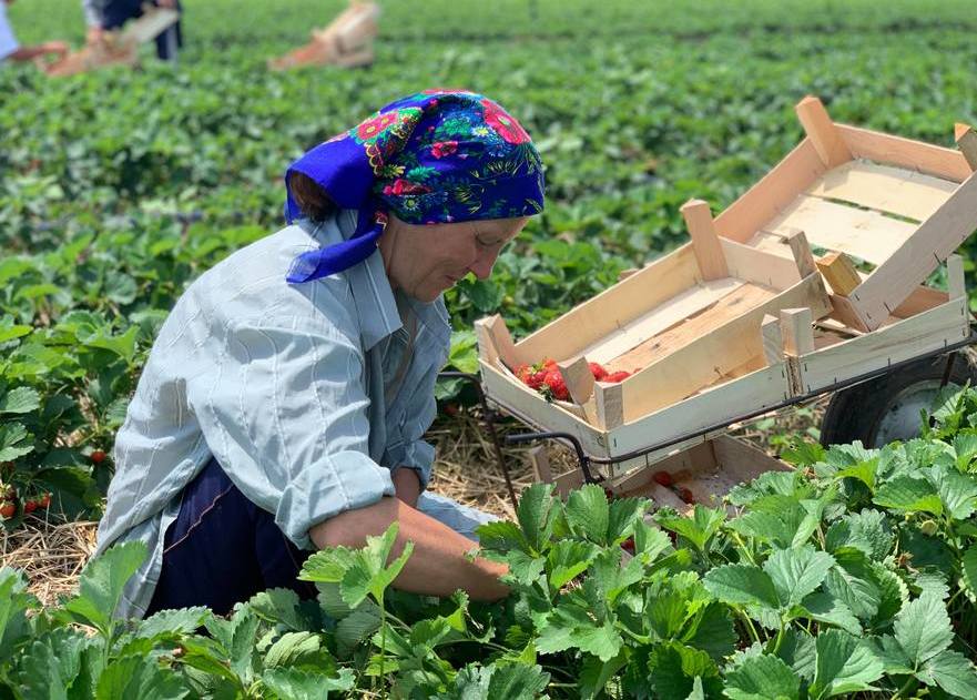 Agricultor din R. Moldova