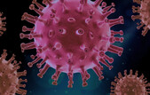 Virus (Pixabay.com)