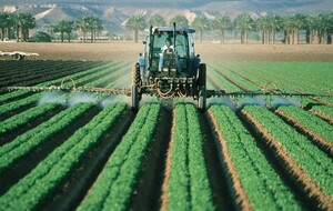 Pesticide (pixabay.com)