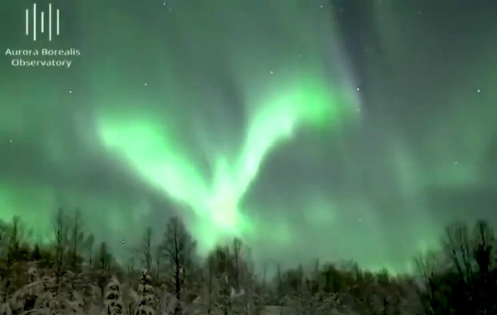 Aurora boreală