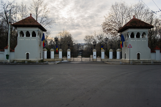 Palatul Cotroceni (Epoch Times România)