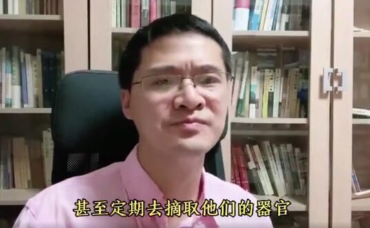 Captură de ecran a profesorului Luo Xiang 26 iunie 2021 (Screengrab/YouMaker)