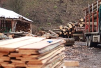 . (Politia Română)