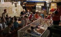 Copii din Ucraina, într-un adăpost (Nexta)