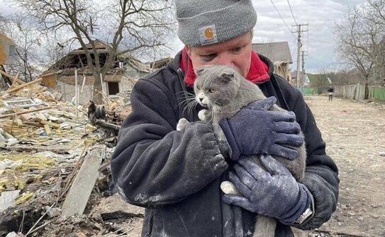 Supravietuitor al unei rachete ruse (Ministerul Afacerilor Externe din Ucraina)