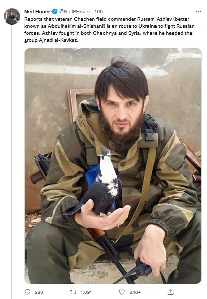  (Twitter / NeilPHauer)