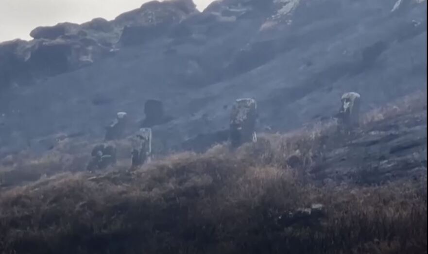 Un incendiu de vegetaţie a deteriorat serios statuile moai din Insula Paştelui