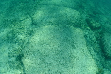 Dale de piatră scufundate lângă Bahamas, considerate artificial tăiate, cu peste 10 mii de ani în urmă (FtLaud/Shutterstock)