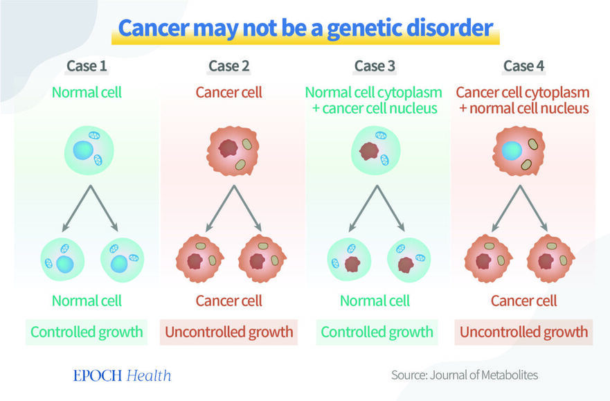 Celule canceroase (Health 1+1 / The Epoch Times)