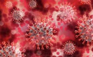 Coronavirus (Pixabay.com)