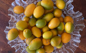 Kumquat (Mioara Stoica/Epoch Times)