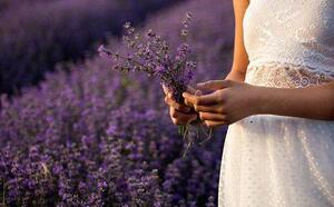 Fată în câmp de lavandă (Pixabay.com)