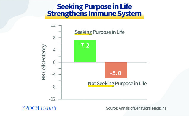 Căutarea unui scop în viaţă întăreşte sistemul imunitar. (The Epoch Times)