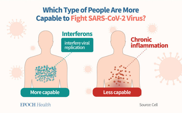 Există două stări care dictează dacă cineva se va îmbolnăvi sau nu: starea antivirală şi inflamaţia cronică sistemică. (The Epoch Times)