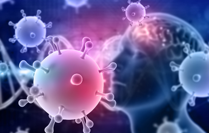 Leucocitele atacă virusul în cadrul sistemului imunitar.