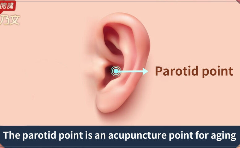 Punctul parotid este un punct de acupunctură ce vizează îmbătrânirea. (The Epoch Times)